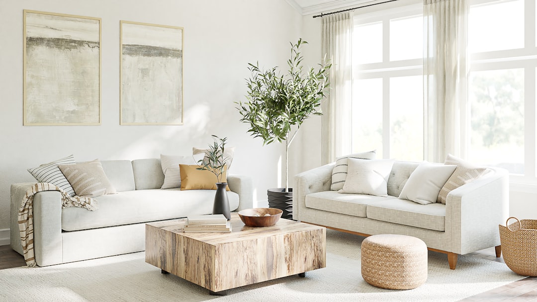 Natural light flooding a living room through casement and double-hung windows — New Vision Windows & Doors