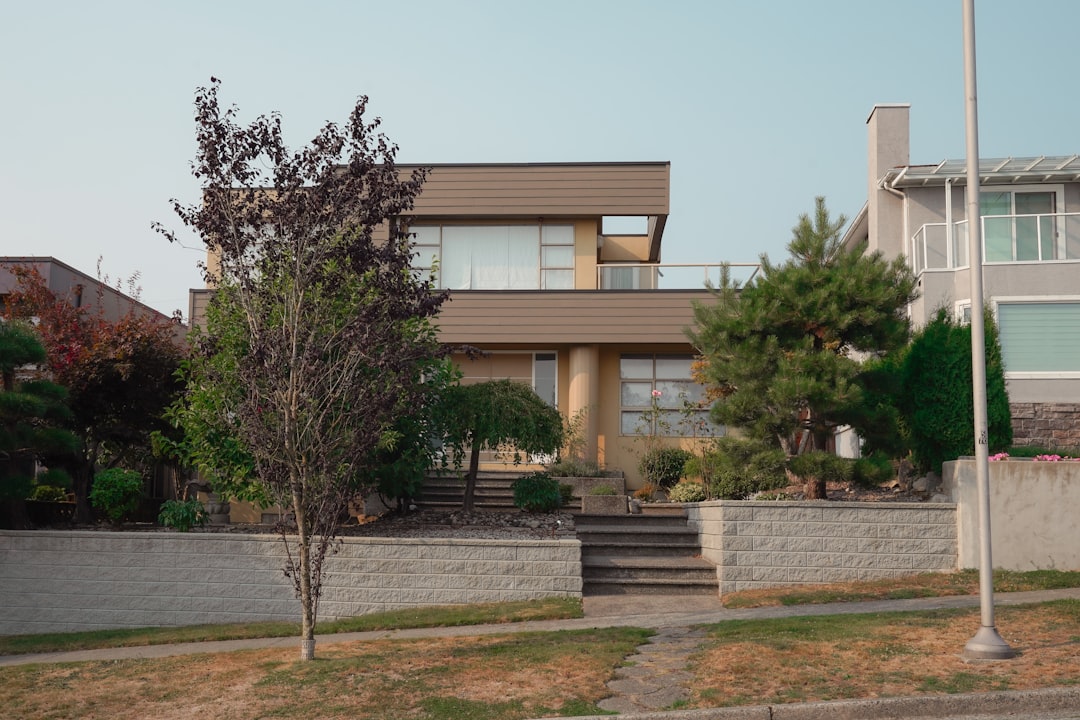 Modern home exterior with large windows on a New Jersey-style residential street — New Vision Windows & Doors