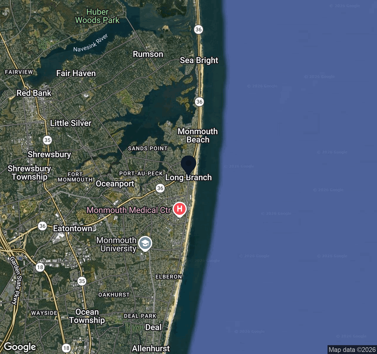 Hybrid map view of Long Branch